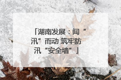湖南发展：闻“汛”而动 筑牢防汛“安全墙”